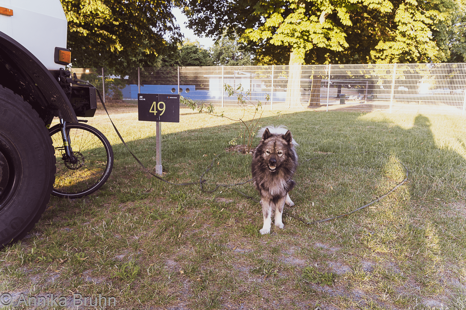 Wieder in Bruchsal! Zum Glück denkt sich Q!